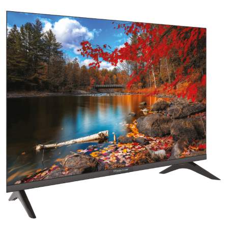 Téléviseur 55’’ LED 4K Ultra HD - WebOS - MP55S4KW